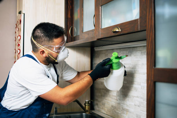 Best Pest Control Near Me  in Waynesburg, OH