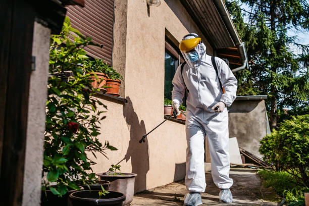 Best Mosquito Control Services  in Waynesburg, OH
