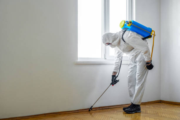 Pest Control for Restaurants in Waynesburg, OH