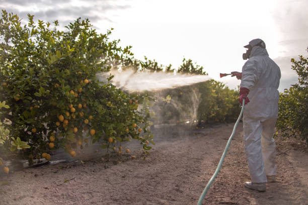 Best Commercial Pest Control Services  in Waynesburg, OH
