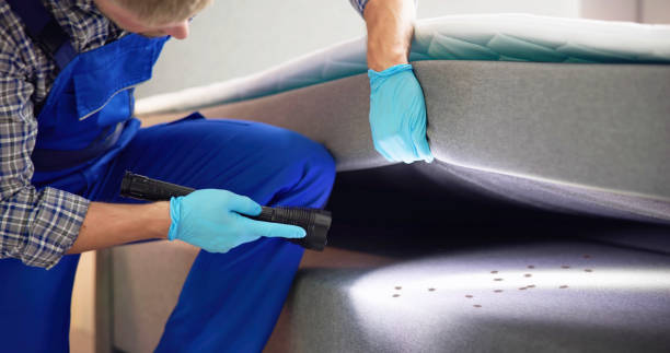 Best Termite Control Services  in Waynesburg, OH