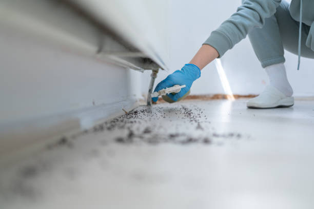 Best Wasp Removal Services  in Waynesburg, OH